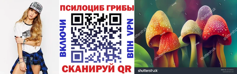 Псилоцибиновые грибы прущие грибы  блэк спрут маркетплейс  Венёв 