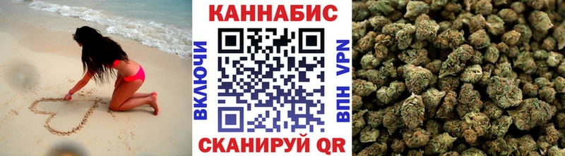 Бошки Шишки планчик  Венёв 